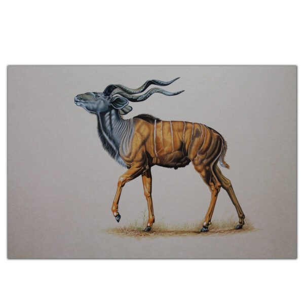 VINTAGE BEAUTIFUL GREATER KUDU PAINTING ON PAPER