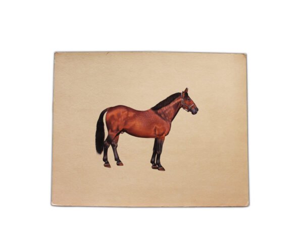 VINTAGE BEAUTIFUL HORSE   PAINTING ON PAPER