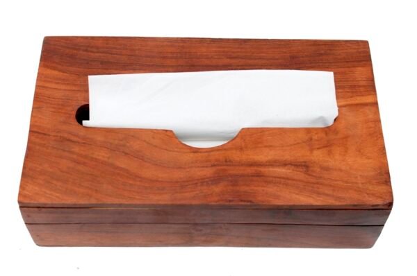 VINTAGE BEAUTIFUL WOODEN TISSUE BOX IN SHEESHAM - Image 3