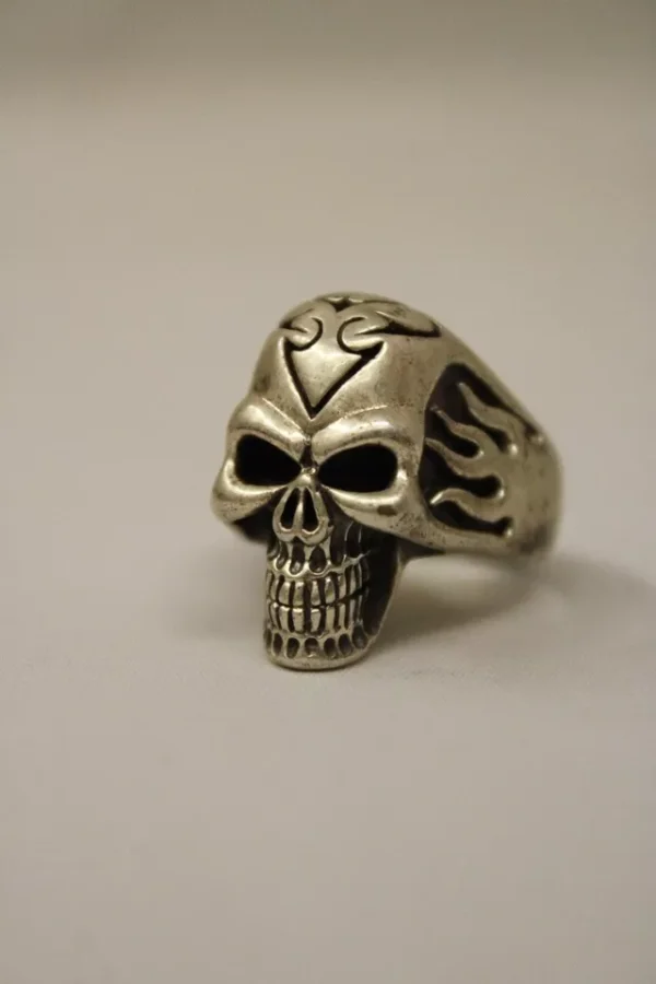 Silver plated Antique finish, Skull head design Stylish finger Ring Men Fashion - Image 2