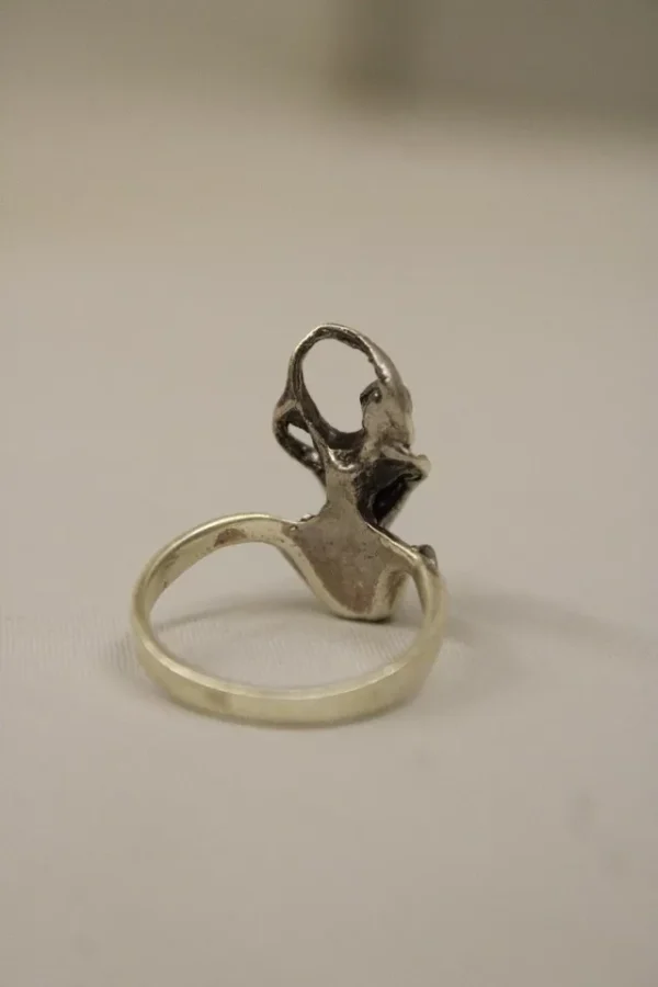 Erotic Solid Sterling Silver Ring - Image 4